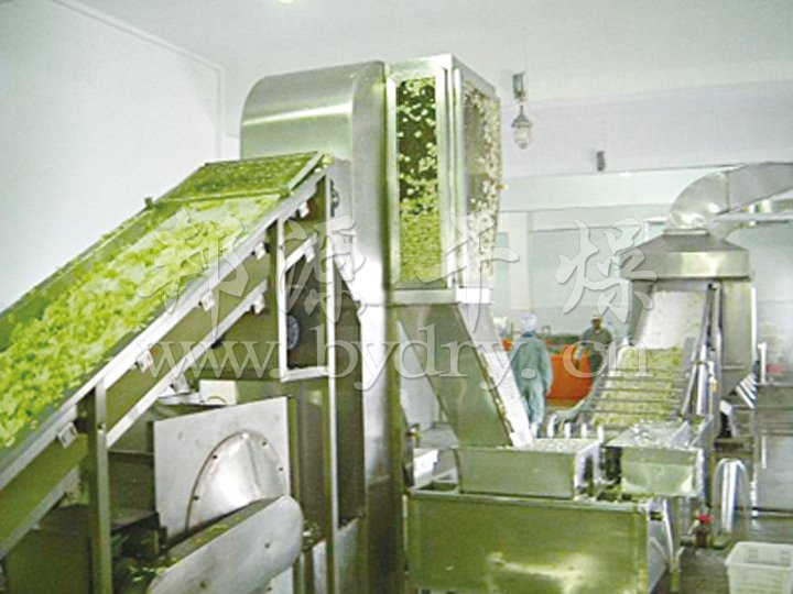 DWC系列脫水蔬菜帶式干燥機
